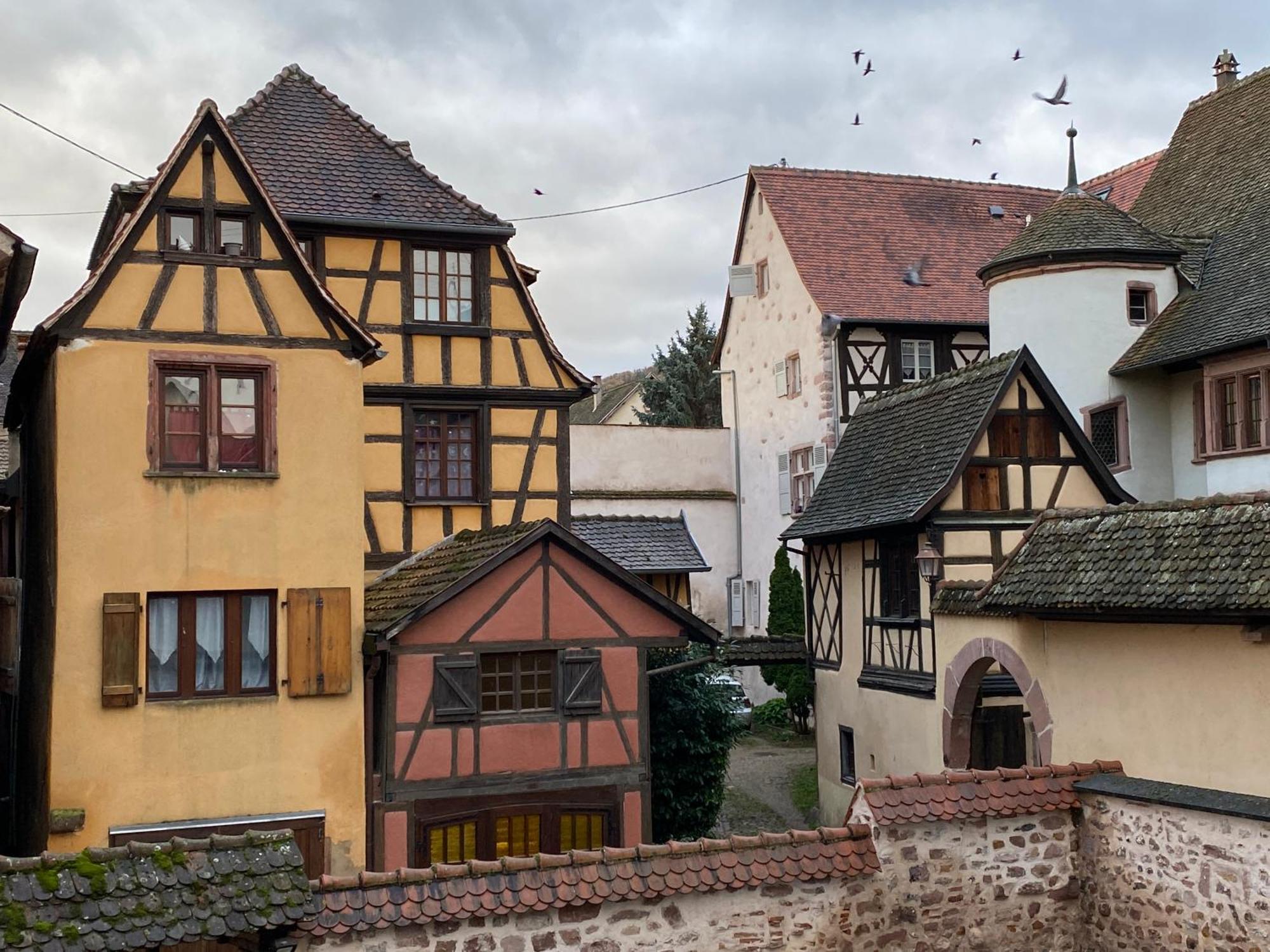 Laterale Residences Riquewihr Exteriör bild